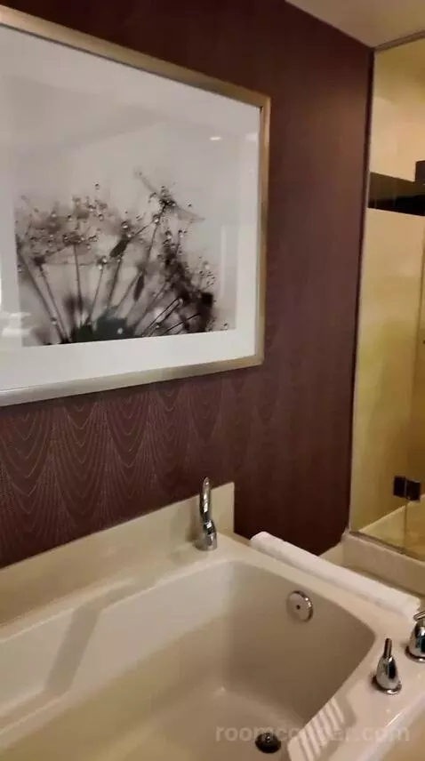 Resort Two Queen (#27117) bathroom picture #4
