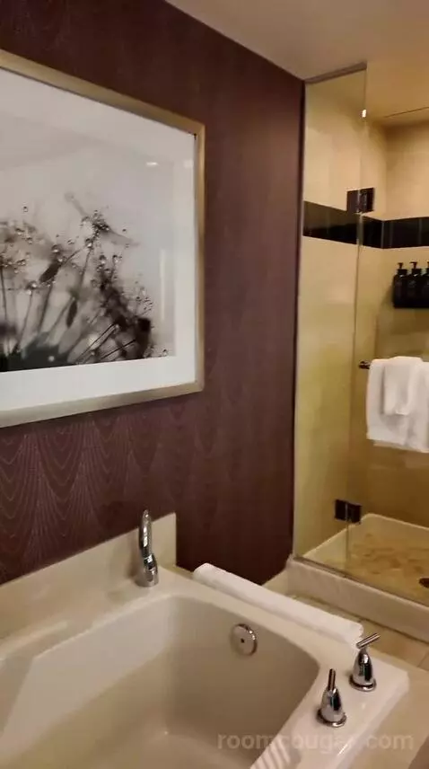 Resort Two Queen (#27117) bathroom picture #6