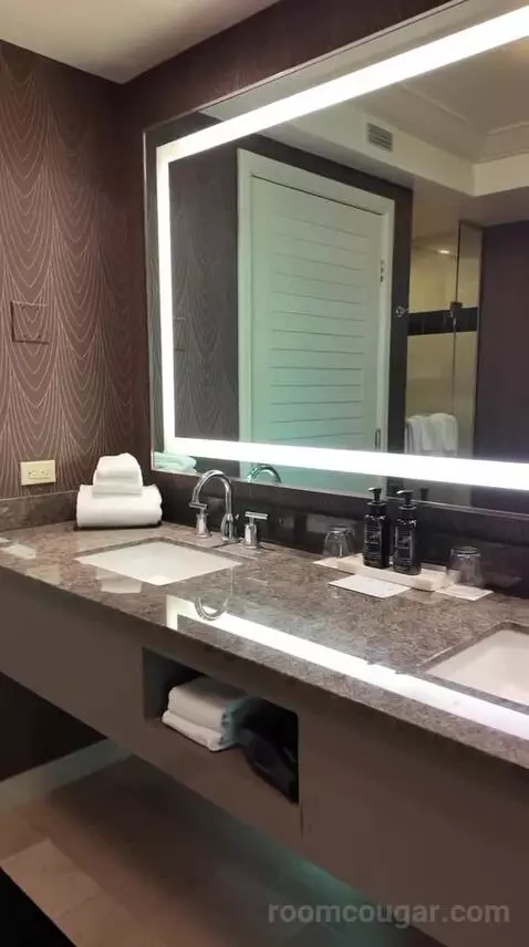Resort Two Queen (#27117) bathroom picture #10
