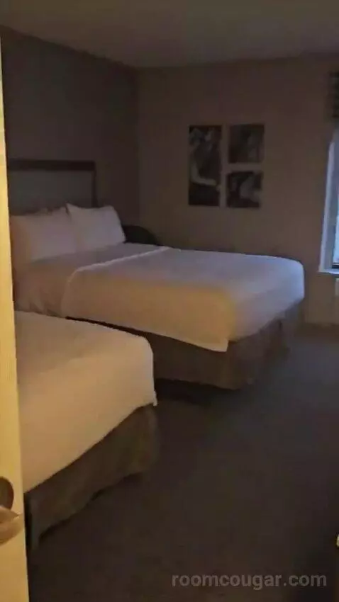 Queen Room with Two Queen Beds (#409) bed picture #4
