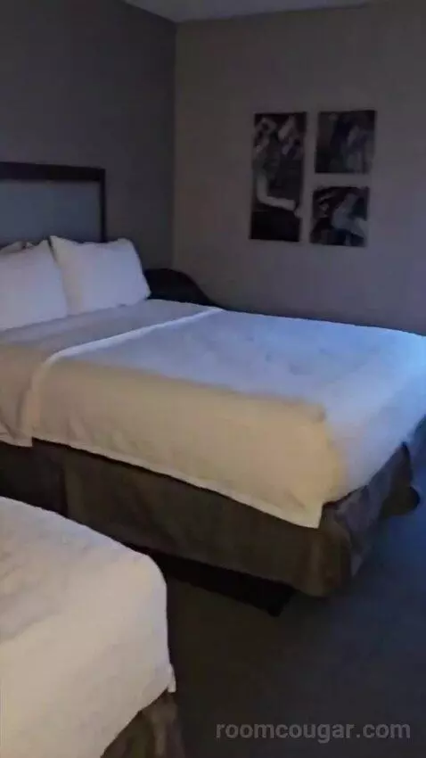Queen Room with Two Queen Beds (#409) bed picture #5