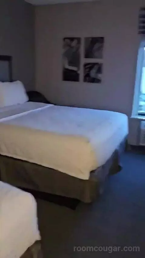 Queen Room with Two Queen Beds (#409) bed picture #6