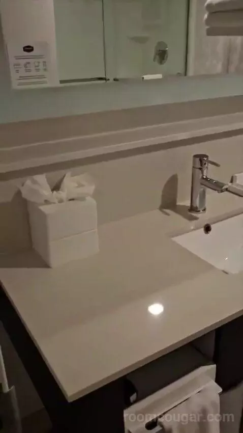 Queen Room with Two Queen Beds (#409) bathroom picture #5