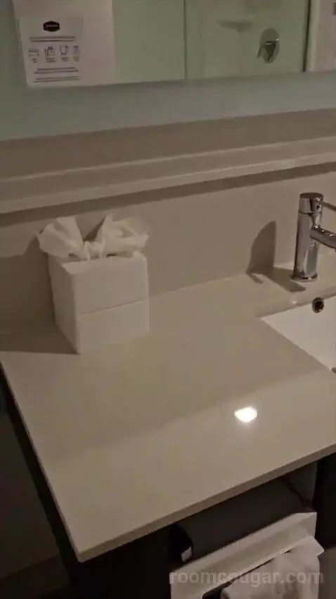 Queen Room with Two Queen Beds (#409) bathroom picture #7
