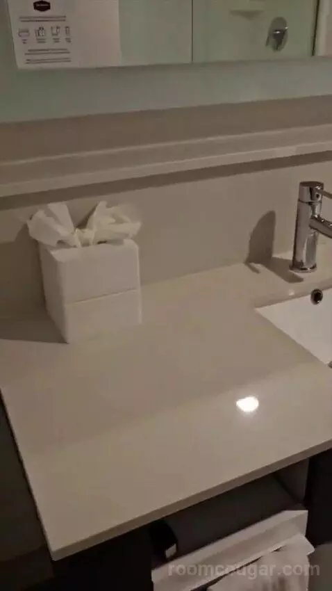 Queen Room with Two Queen Beds (#409) bathroom picture #8