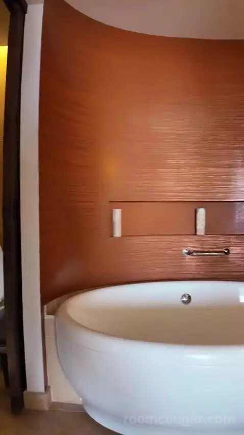 Preferred Club Junior Suite with Ocean View (#6412) bathroom picture #7