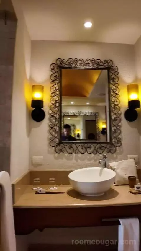 Preferred Club Junior Suite with Ocean View (#6412) bathroom picture #1