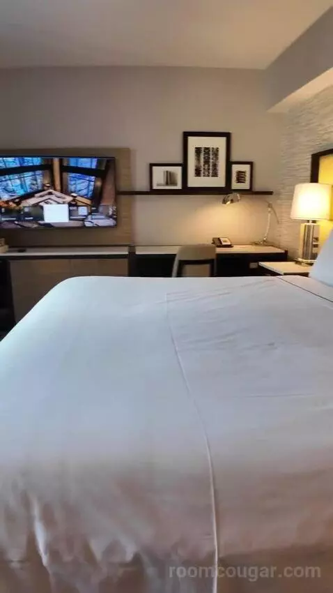 Premium King Room with Midtown View (#1605) bed picture #7