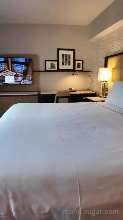 Premium King Room with Midtown View (#1605) bed picture #8