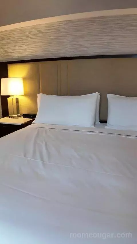 Premium King Room with Midtown View (#1605) bed picture #11