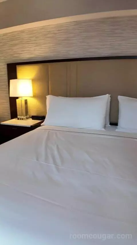 Premium King Room with Midtown View (#1605) bed picture #12