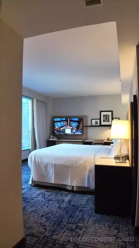 Premium King Room with Midtown View (#1605) bed picture #1