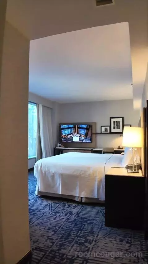 Premium King Room with Midtown View (#1605) bed picture #2