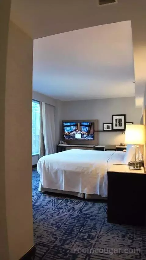 Premium King Room with Midtown View (#1605) bed picture #3