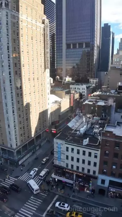 Premium King Room with Midtown View (#1605) view picture #9