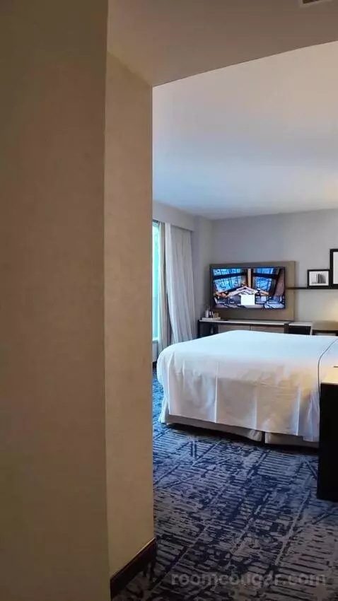 Premium King Room with Midtown View (#1605) bed picture #4