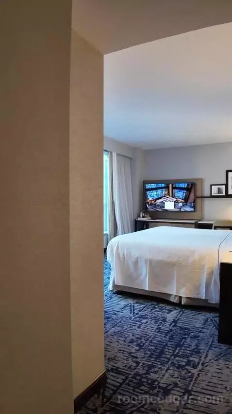 Premium King Room with Midtown View (#1605) bed picture #5