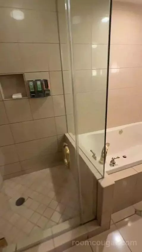 Resort Tower Room (#8008) bathroom picture #2