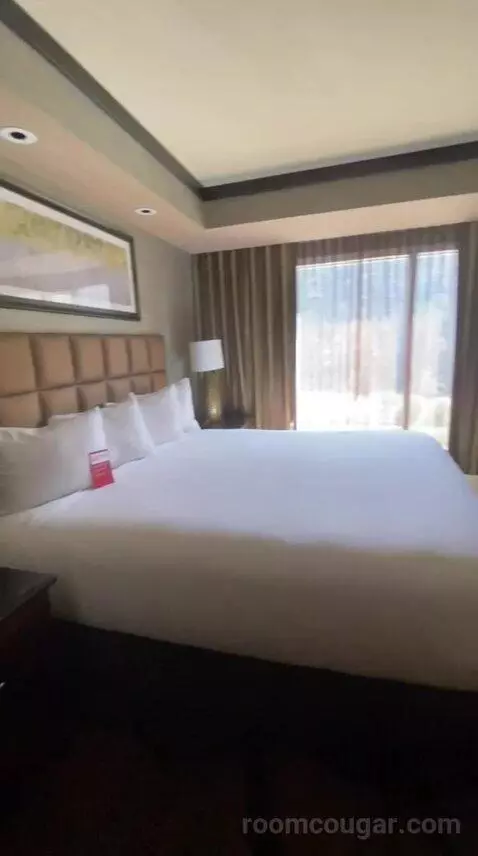 Suite Dreams (#8013) bed picture #1