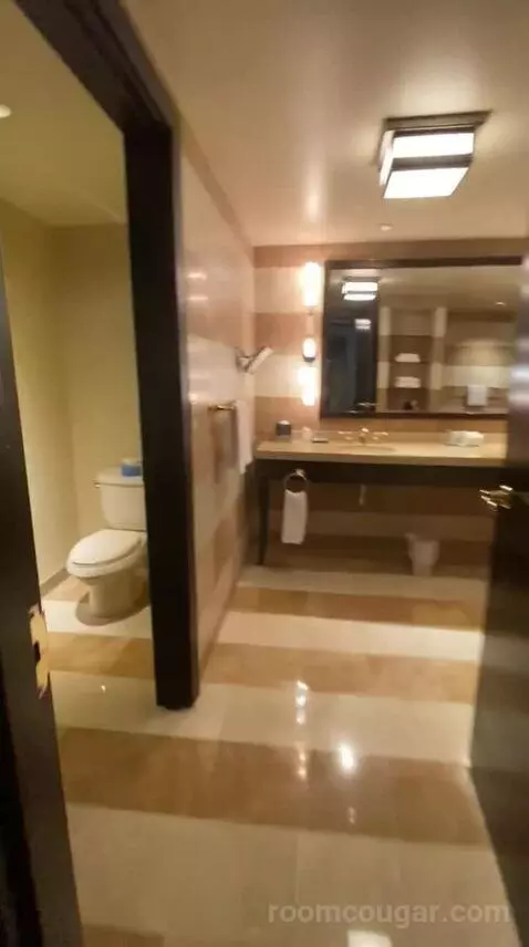 Suite Dreams (#8013) bathroom picture #1