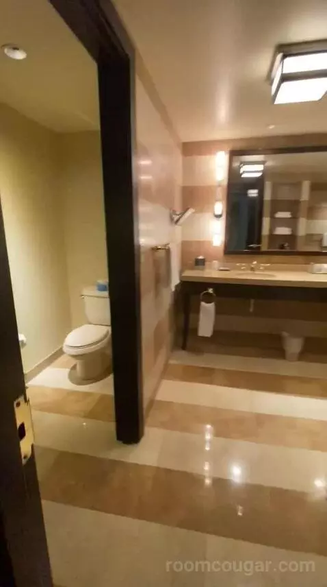 Suite Dreams (#8013) bathroom picture #2
