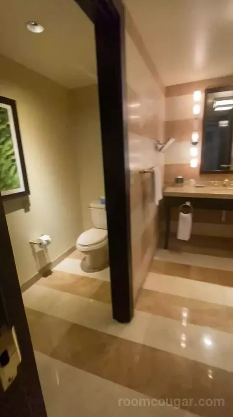Suite Dreams (#8013) bathroom picture #4