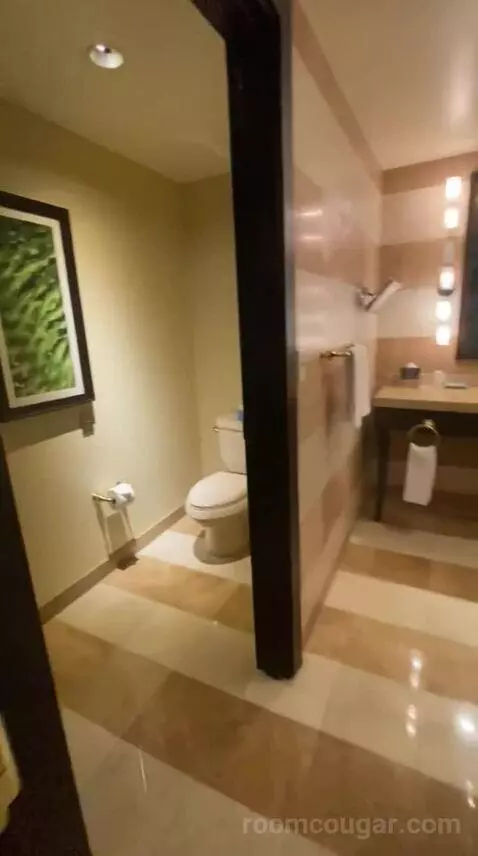 Suite Dreams (#8013) bathroom picture #5