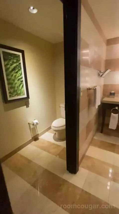 Suite Dreams (#8013) bathroom picture #6