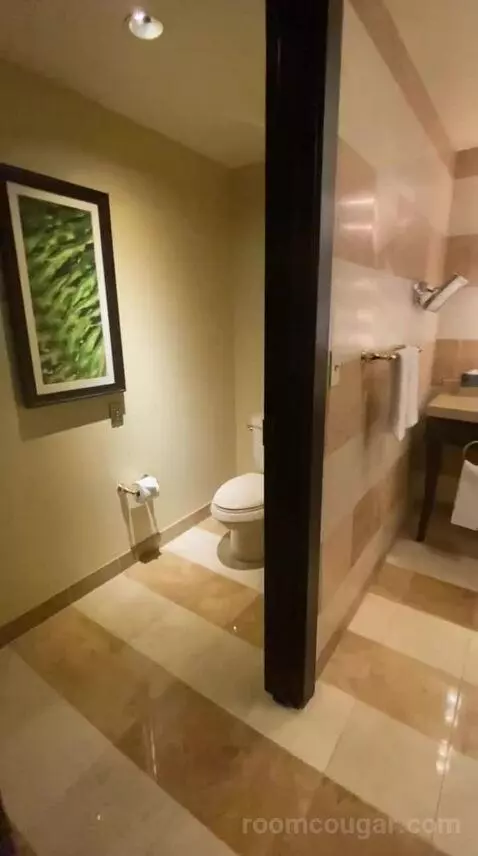 Suite Dreams (#8013) bathroom picture #7