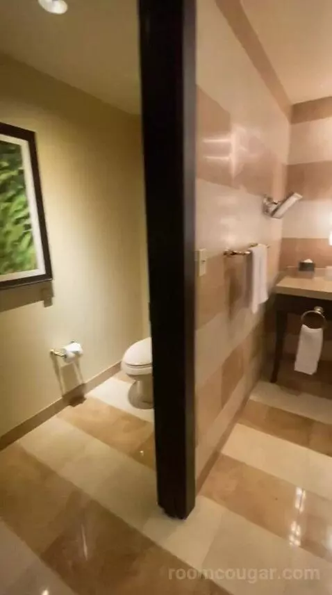 Suite Dreams (#8013) bathroom picture #9