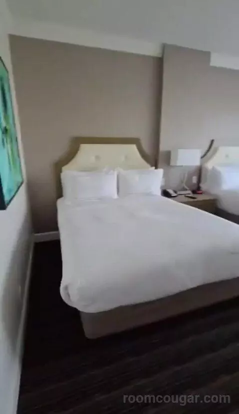 Standard 2 Queen (#5409) bed picture #3