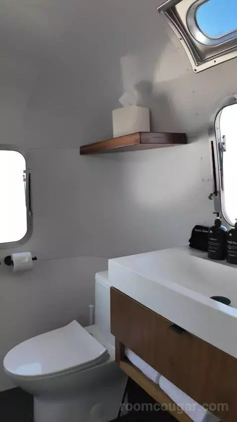 Airstream Suite (#149) picture #9