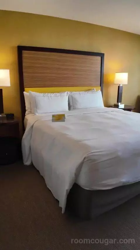 Deluxe King Room with Ocean View (#1610) bed picture #2