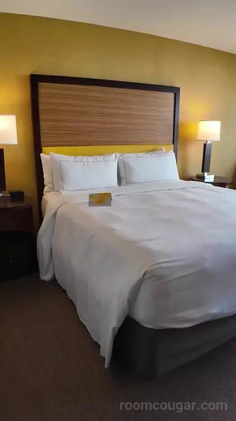 Deluxe King Room with Ocean View (#1610) bed picture #3