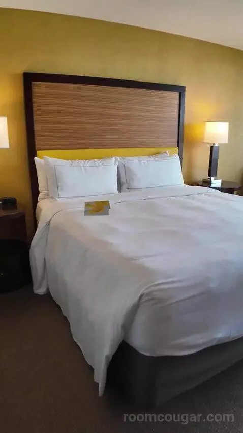 Deluxe King Room with Ocean View (#1610) bed picture #5