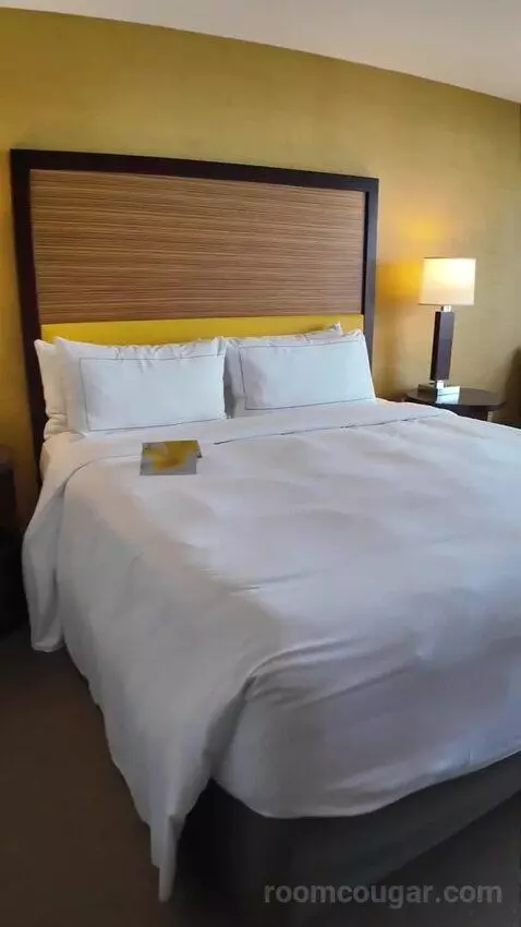 Deluxe King Room with Ocean View (#1610) bed picture #7