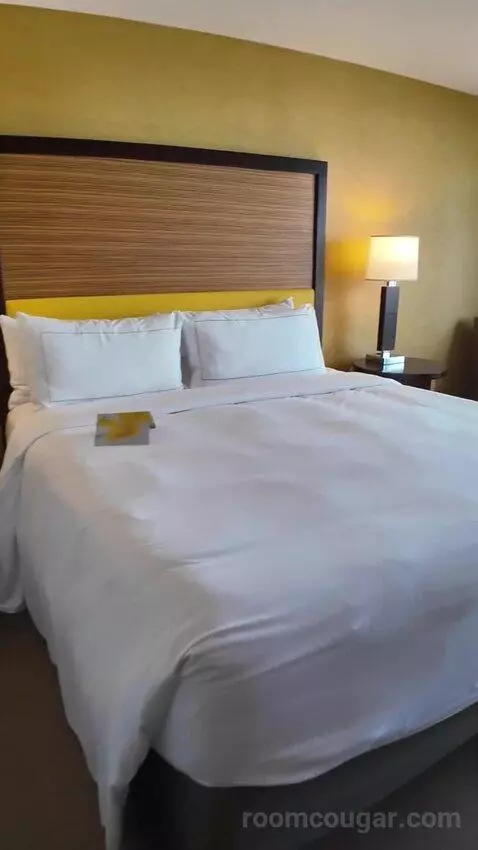 Deluxe King Room with Ocean View (#1610) bed picture #8