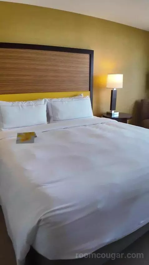 Deluxe King Room with Ocean View (#1610) bed picture #9