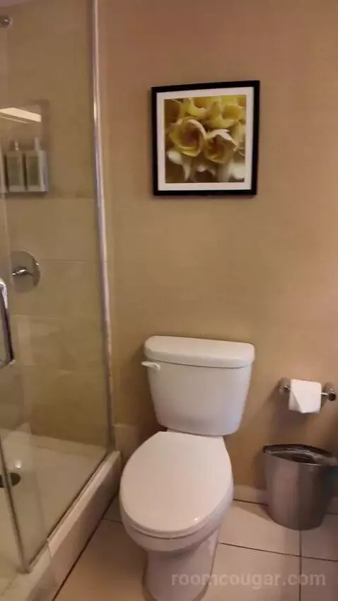 Deluxe King Room with Ocean View (#1610) bathroom picture #5