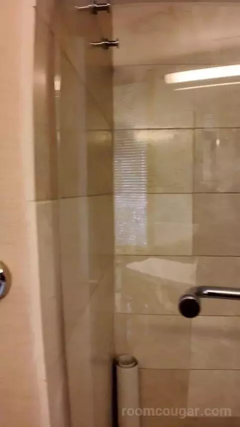 Deluxe King Room with Ocean View (#1610) bathroom picture #9