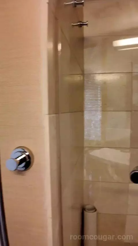 Deluxe King Room with Ocean View (#1610) bathroom picture #10