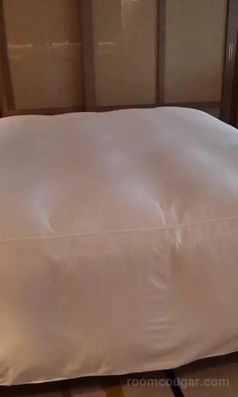 King Room (#323) bed picture #8