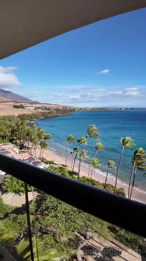 Suite with Ocean View (#980) picture #18