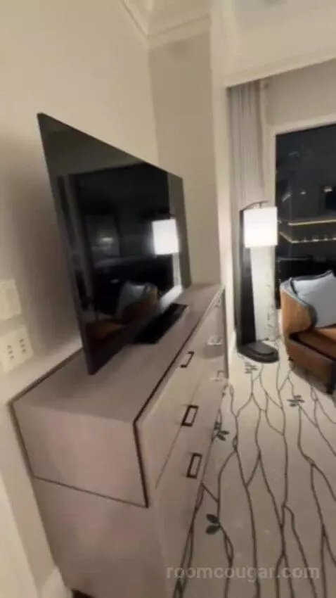 Remodeled Penthouse Suite (#30058) picture #11