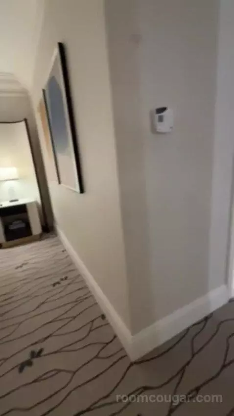 Remodeled Penthouse Suite (#30058) picture #12
