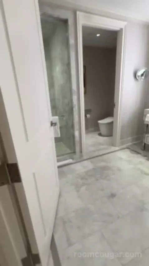 Remodeled Penthouse Suite (#30058) picture #17