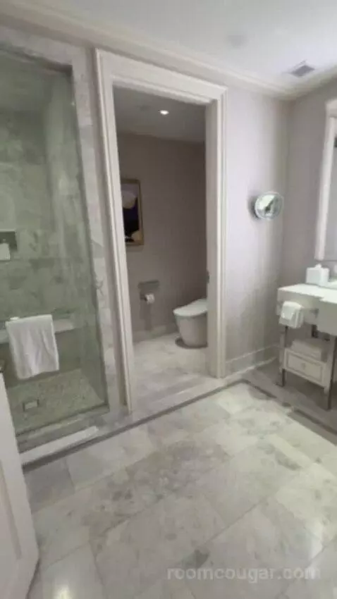 Remodeled Penthouse Suite (#30058) picture #18