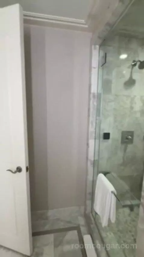 Remodeled Penthouse Suite (#30058) picture #19