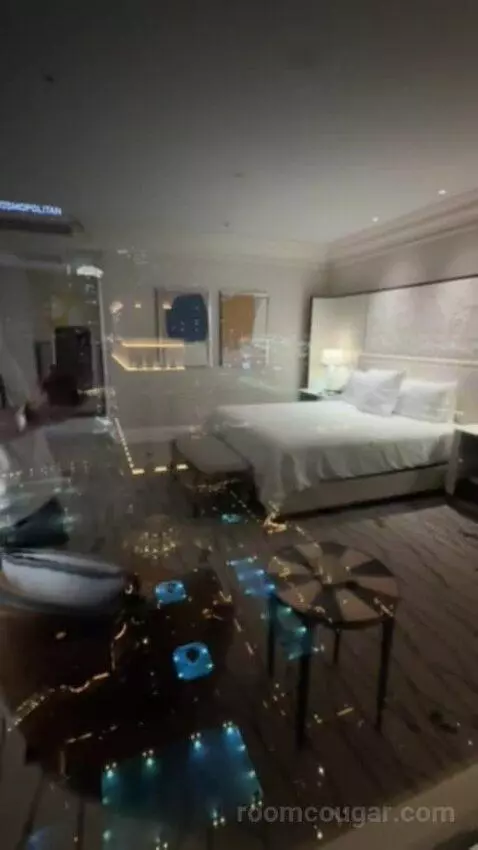 Remodeled Penthouse Suite (#30058) picture #23