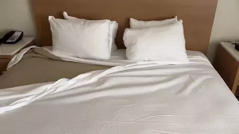 North Classic Room 1 King (#942) bed picture #5